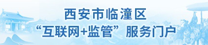 互聯網+監管